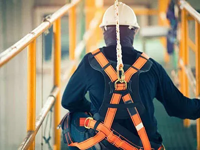 Shoulder Strap